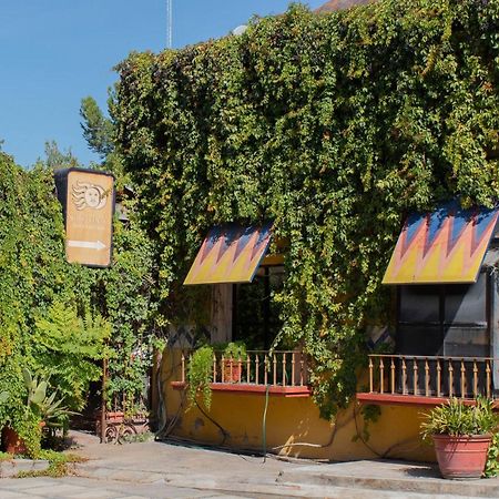 Hotel Huizache Saltillo Ngoại thất bức ảnh